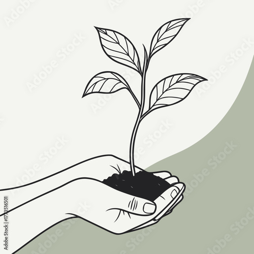 Hands holding a small plant