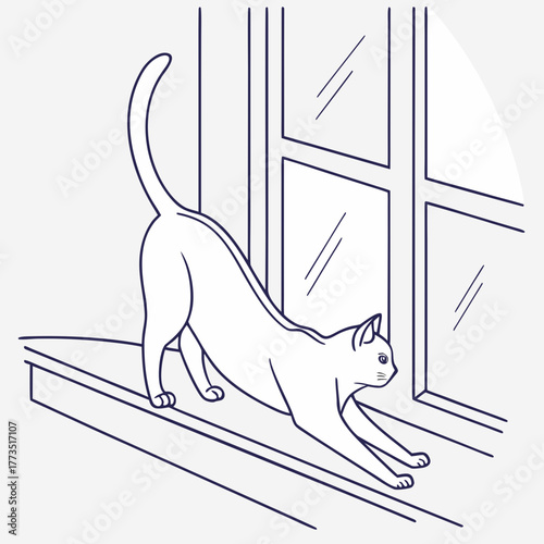 Stretching cat on windowsill