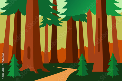 Stylized vector illustration of a dense redwood or sequoia forest landscape featuring towering trunks, deep green foliage, and a winding dirt path leading through the peaceful wilderness