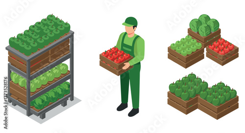 Isometric farmer with fresh apples and cabbage in wooden crates