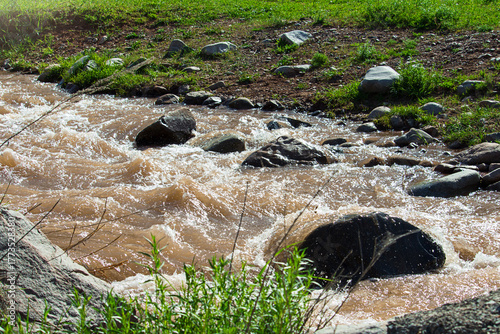Mountain stream with muddy brown water flowing rapidly among stones and rocks. Sunlight reflects on waves and foam. Green grass and plants on the riverbank create a natural wild landscape