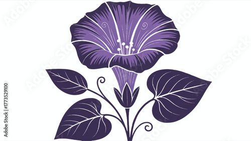 A stylized illustration of a morning glory flower in deep purple against a white background.  