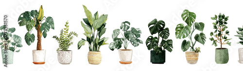 A row of potted green house plants in various decorative pots