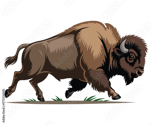 A powerful bison in motion displaying strength and wild nature