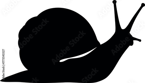 Silhouetted garden snail on white vector