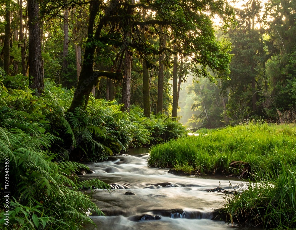 Fototapeta premium Tranquil scene of a flowing stream within a lush green forest