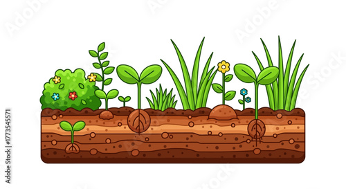 Cartoon Illustration of Growing Plants Flowers and Soil Layers.