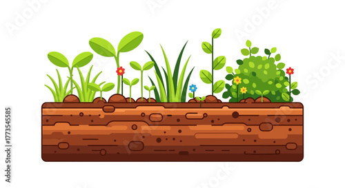 Colorful Illustration of Growing Plants and Soil Section with Flowers.