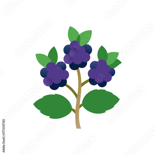 A flat design vector illustration of a blackberry bush featuring three ripe dark purple fruit clusters and green leaves on a thin brown stem, representing healthy eating and summer harvest.