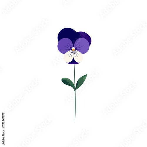 Purple and white pansy flower with two green leaves on white background in simple botanical vector illustration