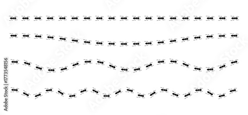 Set of simple path line of an ant trail. Black silhouette graphic shows ants walking in a curved lines