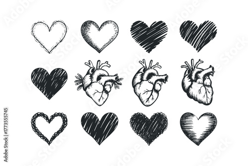 Collection of twelve hand drawn heart and anatomical heart icons