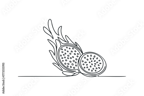 Dragon fruit halves line art