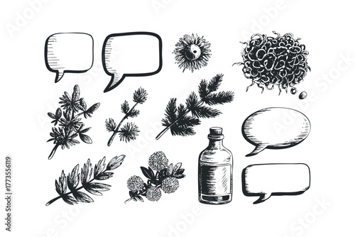 Hand Drawn Botanical Elements and Speech Bubbles
