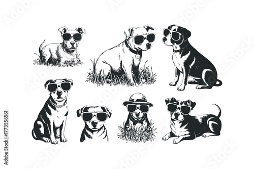 Set of Dogs Wearing Sunglasses and Hats