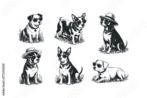 Six playful dogs wearing sunglasses and hats sitting on grass