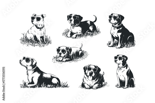 Group of dogs wearing sunglasses in a playful compilation