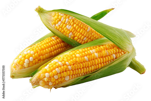corn on a white background