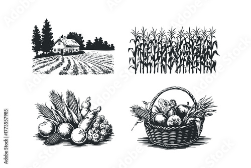 Farm harvest with house and cornfield illustration