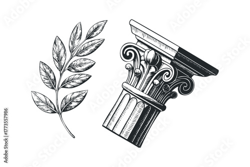 Classical ionic column capital with laurel branch engraving