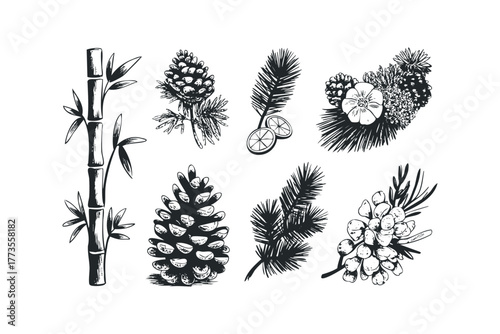 Black ink botanical elements of bamboo, pinecone, and citrus slices