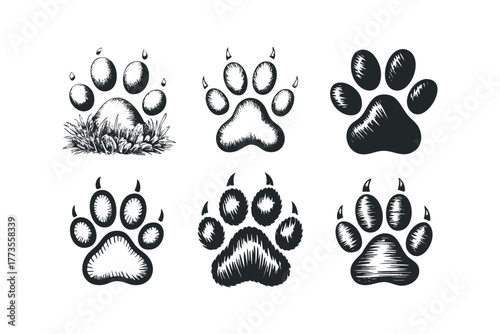 Collection of Hand Drawn Animal Paw Prints on White Background