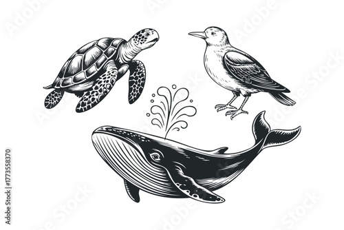 Whale spouting water with sea turtle and bird