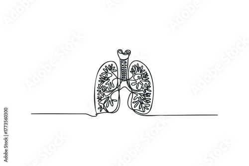 Continuous Line Drawing of Human Lungs and Trachea