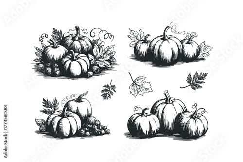 Harvest pumpkins and grapes still life illustration