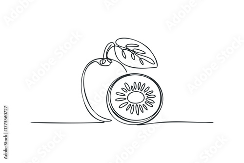Line drawing of a kiwi fruit with a leaf