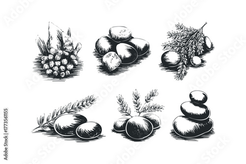 Six stylized ink drawings of natural elements