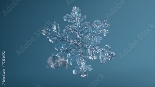 snowflake ice crystal type dendrites star