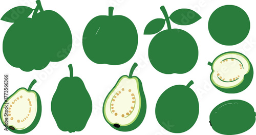 Illustration of various green guavas whole and halved on white background