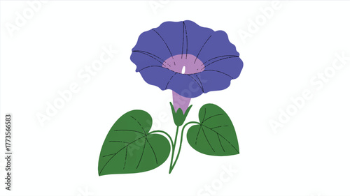 A simple vector illustration of a deep purple morning glory flower with 6 large petals arranged in a circular pattern 
