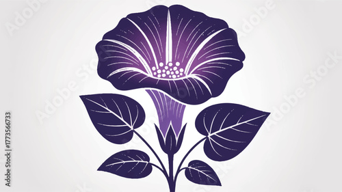 A stylized illustration of a morning glory flower in deep purple against a white background.  
