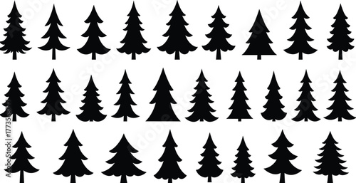 Pine tree silhouette, evergreen forest collection, conifer woodland vector, rustic nature artwork, winter landscape design, decorative tree set, black graphic illustration