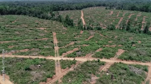 Aerial View Showing Deforestation and Habitat Loss in Tropical Forest Region