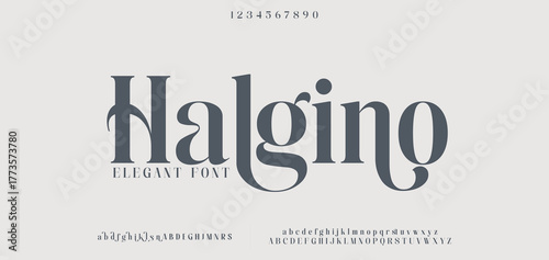 Classic serif font with luxurious swashes and refined details, perfect for elegant headlines and stylish branding