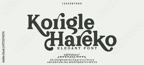 Glamorous serif font with sparkling curves and elegant form, suitable for high-end branding, beauty, and fashion design