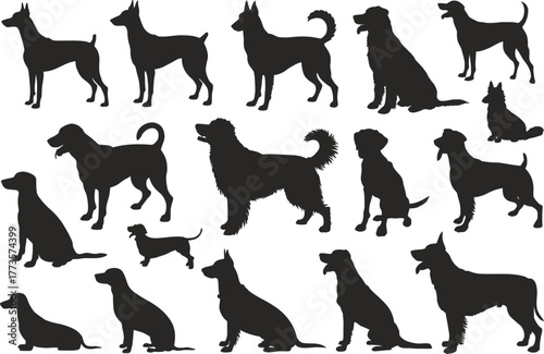 Dog breeds silhouettes vector illustration set collection art