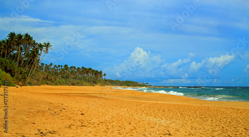 A beautiful palm tree lined tropical beach, with Golden sand and cascading waves against a pale blue cloudy sky. Rekawa Beach, Tangalle, Sri Lanka