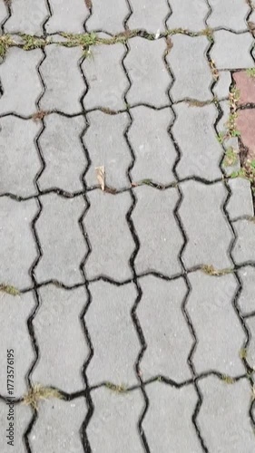Forward Motion Over Interlocking Pavement on Side Road
Video captures forward movement over zigzag-patterned pavement tiles on a side road. The textured surface and natural wear highlight urban detail