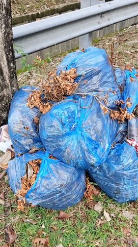 Snake Resting on Blue Garbage Bags
Video focuses on blue garbage bags filled with dry leaves, revealing a snake resting on top under natural outdoor surroundings.