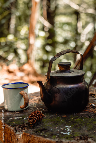 A cozy vertical shot of a dark, rustic kettle and a light blue enamel mug with a braided handle, resting on a moss-covered log in a soft-focus forest setting