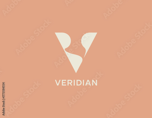 This image features a modern and elegant stylized letter V, ideal for branding and identity projects that seek a sophisticated yet approachable visual representation.