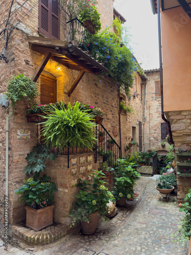 beautiful view of an alley in Spello, a famous medieval village in Umbria renowned for its flower-lined streets