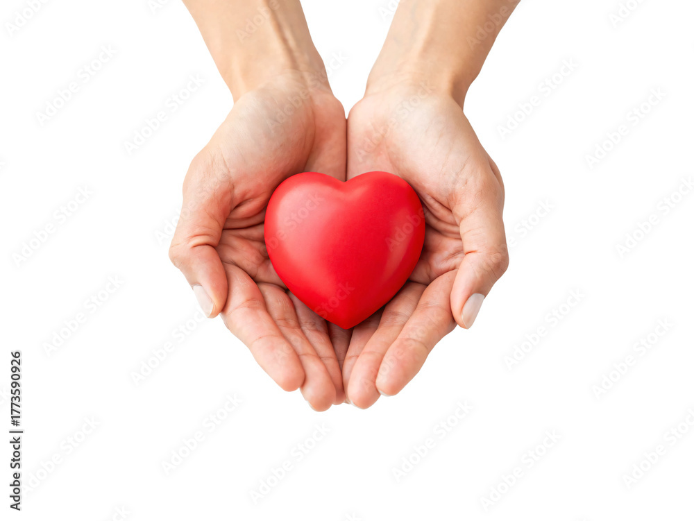 Fototapeta premium Two hands cupping and offering red glossy heart symbol representing love care and compassion, isolated on a transparent background