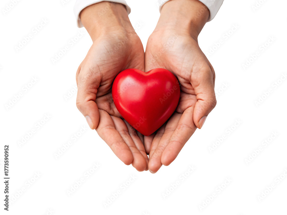 Fototapeta premium Two hands presenting red glossy heart in open palms showing care giving and loving gesture, isolated on a transparent background
