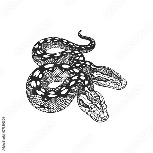 Intricate TwoHeaded Snake Illustration with Detailed Scales and Spotted Pattern.