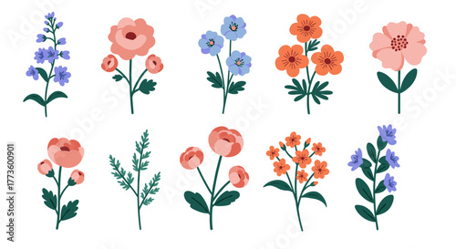 Colorful floral collection: modern botanical elements in flat design